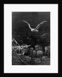 The albatross is shot by the Mariner by Gustave Dore