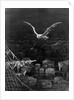 The albatross is shot by the Mariner by Gustave Dore