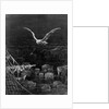 The albatross is shot by the Mariner by Gustave Dore