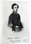 Edward, Prince of Wales by Franz Xaver (after) Winterhalter