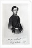 Edward, Prince of Wales by Franz Xaver (after) Winterhalter