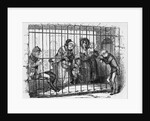 Kit in Jail by Hablot Knight Browne