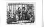 Kit in Jail by Hablot Knight Browne
