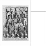 The Five Orders of Perriwigs, 1761 by William Hogarth