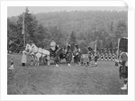 Queen Victoria presenting colours to the Cameron Highlanders, 1873 by English Photographer