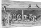Sheep Shearing, c.1880 by English School