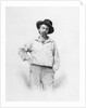 Walt Whitman by American School