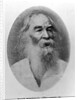 Walt Whitman, photographed in 1889 by American Photographer