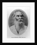 Walt Whitman, photographed in 1889 by American Photographer