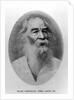 Walt Whitman, photographed in 1889 by American Photographer
