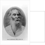 Walt Whitman, photographed in 1889 by American Photographer