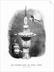 The Puseyite Moth and the Roman Candle by English School
