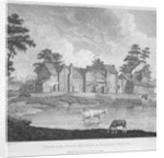 View of the Pest-Houses at Tothill Fields engraved by Charles Pye, 1796 by Edward Dayes (after)