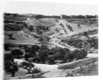 Garden of Gethsemane, 1857 by James & Beato Felice (1832-1909) Robertson