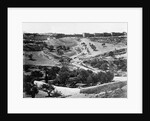 Garden of Gethsemane, 1857 by James & Beato Felice (1832-1909) Robertson