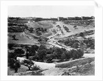 Garden of Gethsemane, 1857 by James & Beato Felice (1832-1909) Robertson