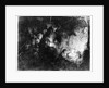 The Adoration of the Shepherds, c.1652 by Rembrandt Harmensz. van Rijn