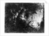 The Adoration of the Shepherds, c.1652 by Rembrandt Harmensz. van Rijn