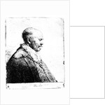 Portrait of a bald-headed man, 1630 by Rembrandt Harmensz. van Rijn