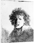 Self Portrait, 1630 by Rembrandt Harmensz. van Rijn