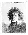 Self Portrait, 1630 by Rembrandt Harmensz. van Rijn