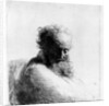 Head of an old man, 1631 by Rembrandt Harmensz. van Rijn