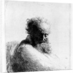 Head of an old man, 1631 by Rembrandt Harmensz. van Rijn