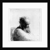 Head of an old man, 1631 by Rembrandt Harmensz. van Rijn