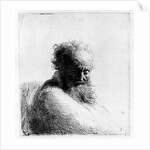 Head of an old man, 1631 by Rembrandt Harmensz. van Rijn