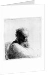 Head of an old man, 1631 by Rembrandt Harmensz. van Rijn