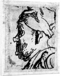 Old man with a snub nose, c.1629 by Rembrandt Harmensz. van Rijn
