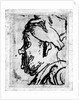 Old man with a snub nose, c.1629 by Rembrandt Harmensz. van Rijn