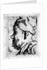 Old man with a snub nose, c.1629 by Rembrandt Harmensz. van Rijn