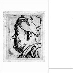 Old man with a snub nose, c.1629 by Rembrandt Harmensz. van Rijn