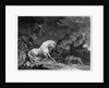 A Horse Affrighted by a Lion by George Stubbs