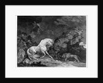 A Horse Affrighted by a Lion by George Stubbs