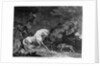 A Horse Affrighted by a Lion by George Stubbs