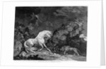 A Horse Affrighted by a Lion by George Stubbs