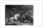 A Horse Affrighted by a Lion by George Stubbs