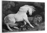 A Horse Affrighted by a Lion, engraved by the artist, 1788 by George Stubbs