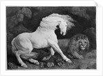 A Horse Affrighted by a Lion, engraved by the artist, 1788 by George Stubbs