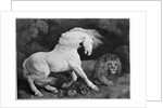 A Horse Affrighted by a Lion, engraved by the artist, 1788 by George Stubbs