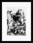 St. Jerome in the Wilderness, c.1496 by Albrecht Dürer or Duerer
