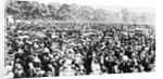 The Great Votes for Women Demonstration in Hyde Park, Sunday, June 12th 1908 by English Photographer