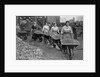 Women Barrowing Coke at a Gas Works, War Office photographs, 1916 by English Photographer