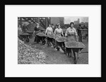Women Barrowing Coke at a Gas Works, War Office photographs, 1916 by English Photographer