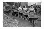 Women Barrowing Coke at a Gas Works, War Office photographs, 1916 by English Photographer