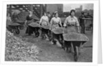 Women Barrowing Coke at a Gas Works, War Office photographs, 1916 by English Photographer