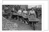 Women Barrowing Coke at a Gas Works, War Office photographs, 1916 by English Photographer