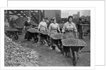 Women Barrowing Coke at a Gas Works, War Office photographs, 1916 by English Photographer